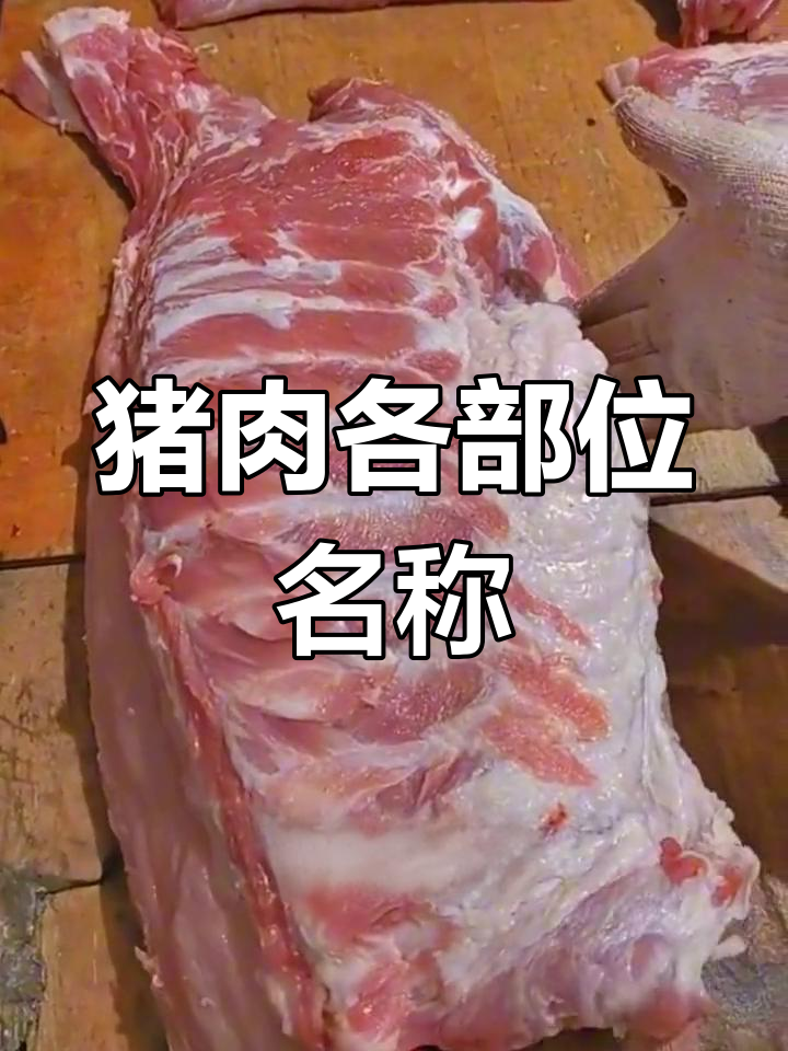 猪肉部位全解析,如何挑选优质猪肉