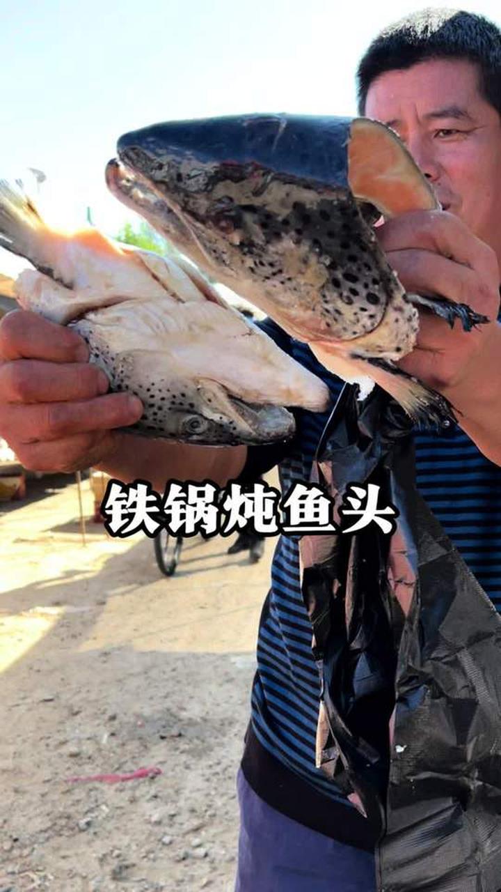 你们吃过铁锅炖三文鱼头吗?味道超好吃!