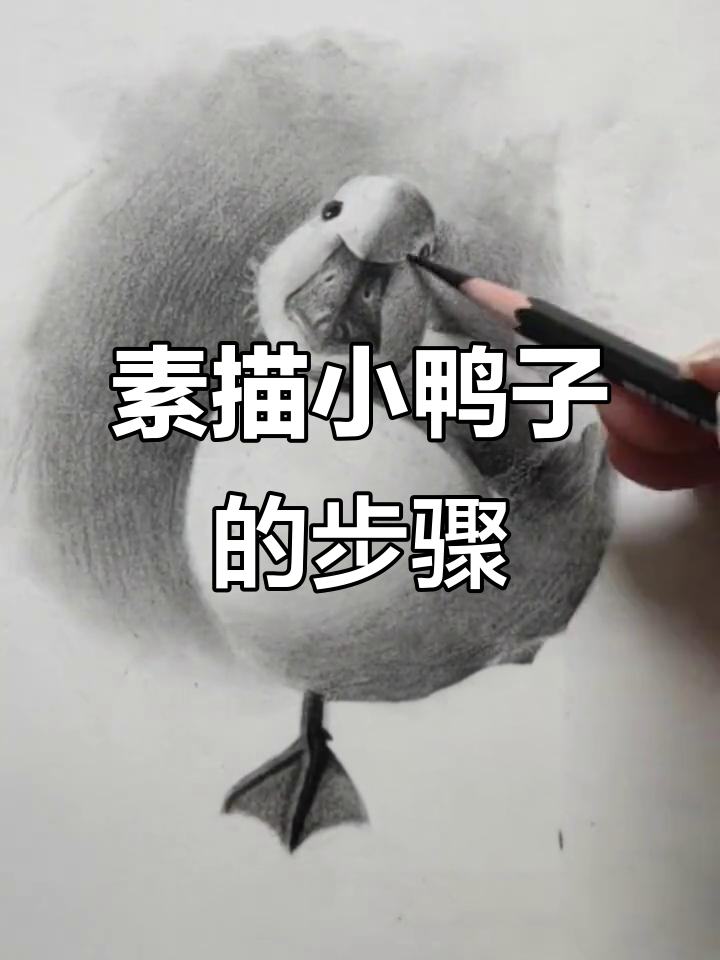 用素描画一只歪头杀小鸭子，简单又有趣！