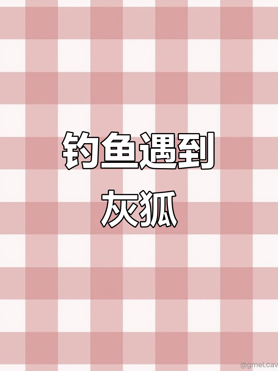 钓鱼主播遇“灰色狐狸”,表情包唤醒良知,阻止作案