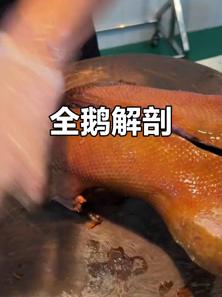 鹅的全身各部位，详细解析！