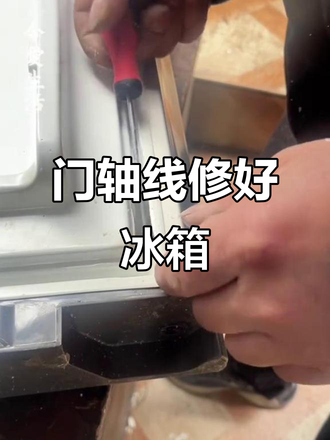冰箱黑屏别急扔,门轴线断修复技巧大揭秘