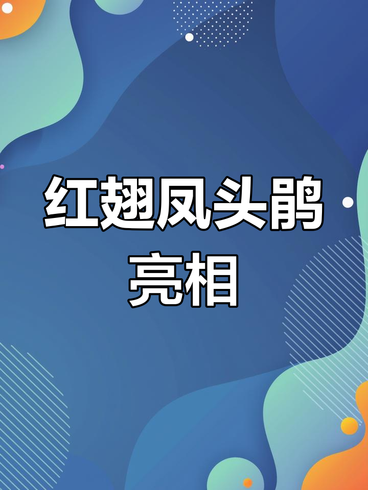 丽水惊现红翅凤头鹃,珍稀鸟类引关注