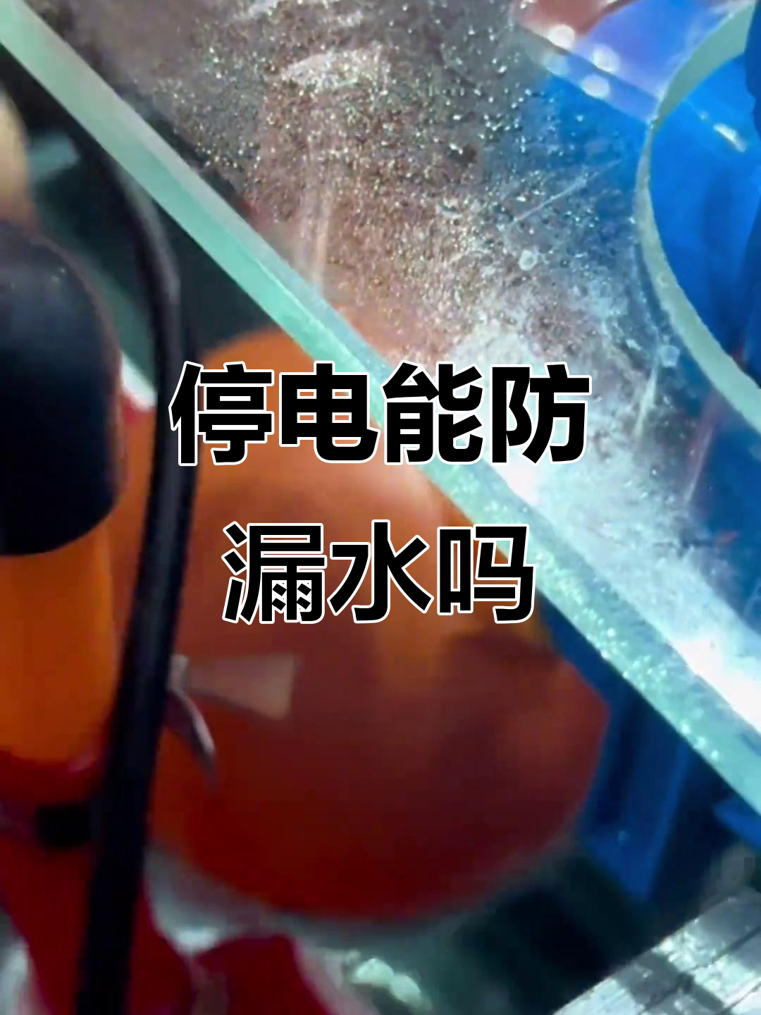 无管件鱼缸停电怎么办？逆止阀和浮球如何防止水倒流