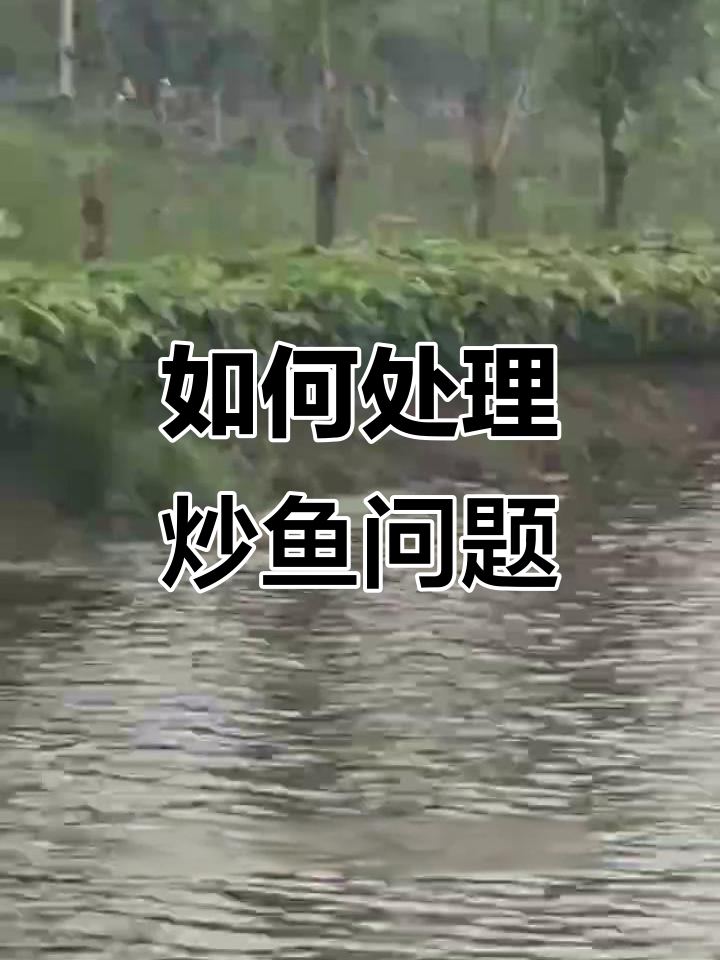 炒鱼病症状解析与应对方法