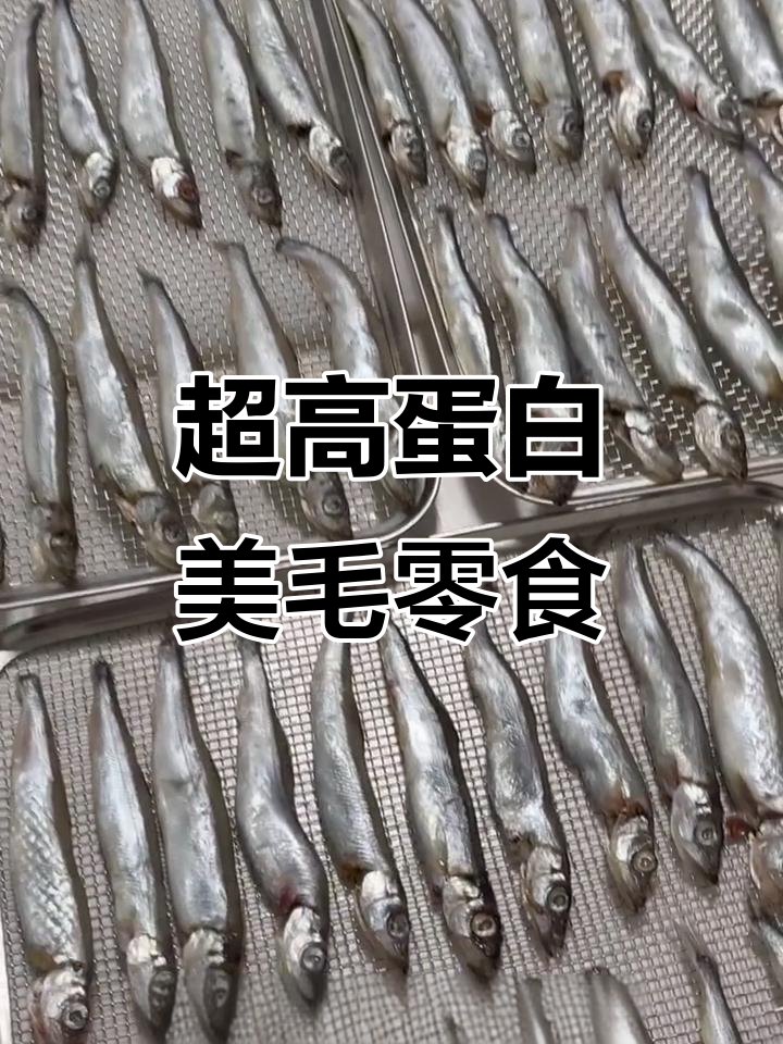 营养满满！超多鱼籽的美毛小零食，狗狗猫猫都爱吃