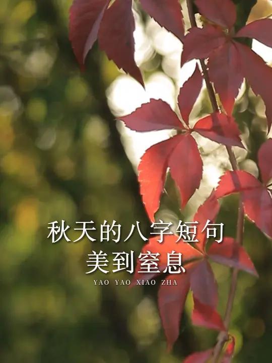 古人的秋天有多美呢?有关秋天的八字短句,美到窒息