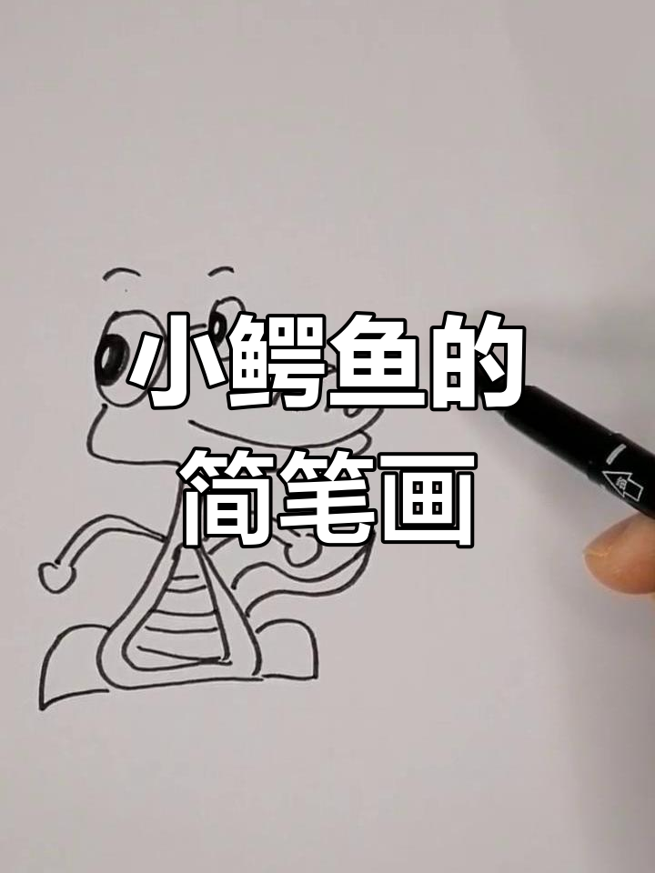 轻松画出可爱小鳄鱼,步骤超简单!
