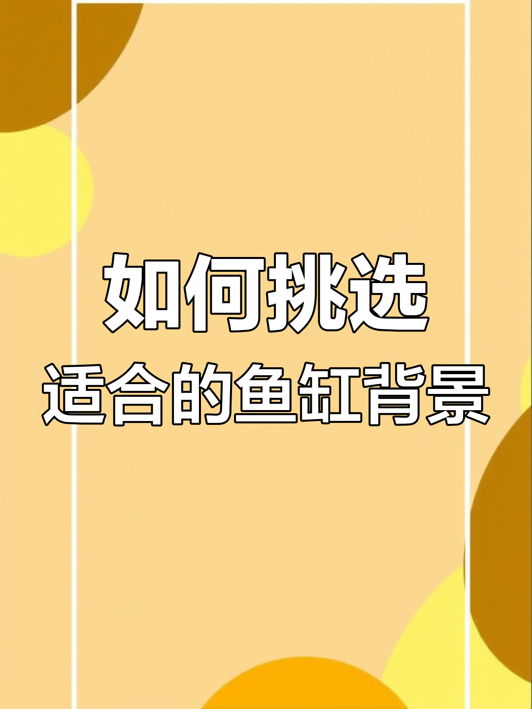 雷龙鱼缸背景选择指南