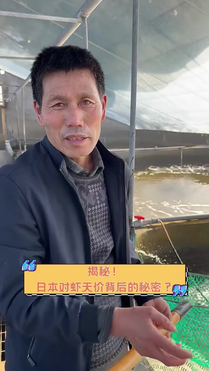 揭秘!日本对虾天价背后的秘密?