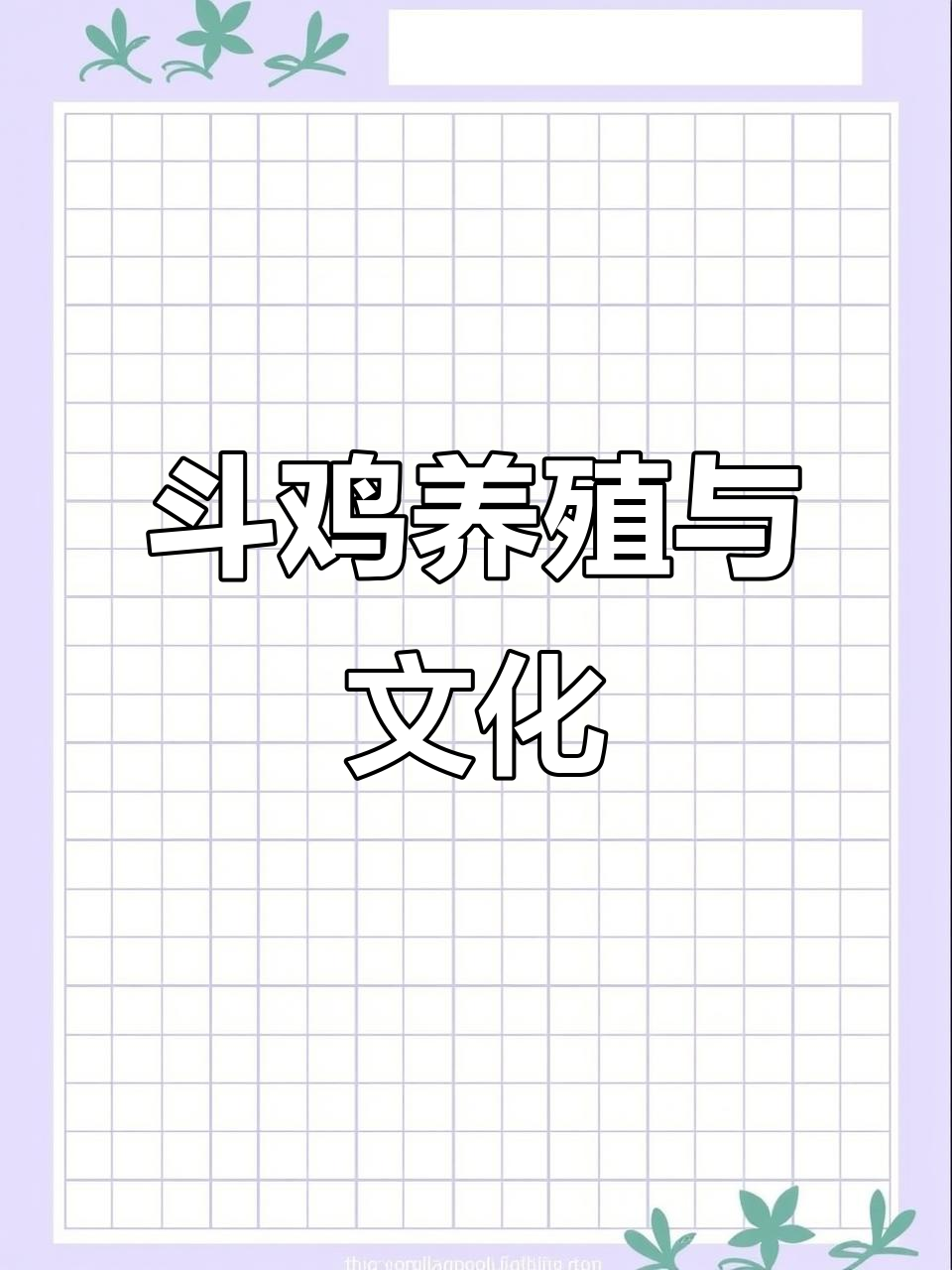 罗甸达彪养殖基地:公鸡中的战斗机,自繁自养斗鸡文化