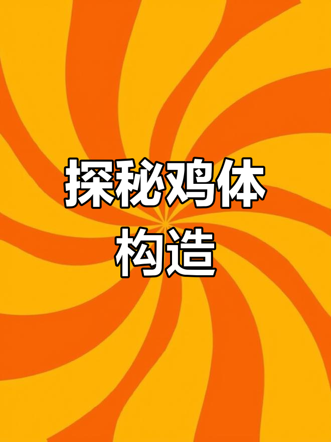 揭秘鸡的内部结构,原来是这样!