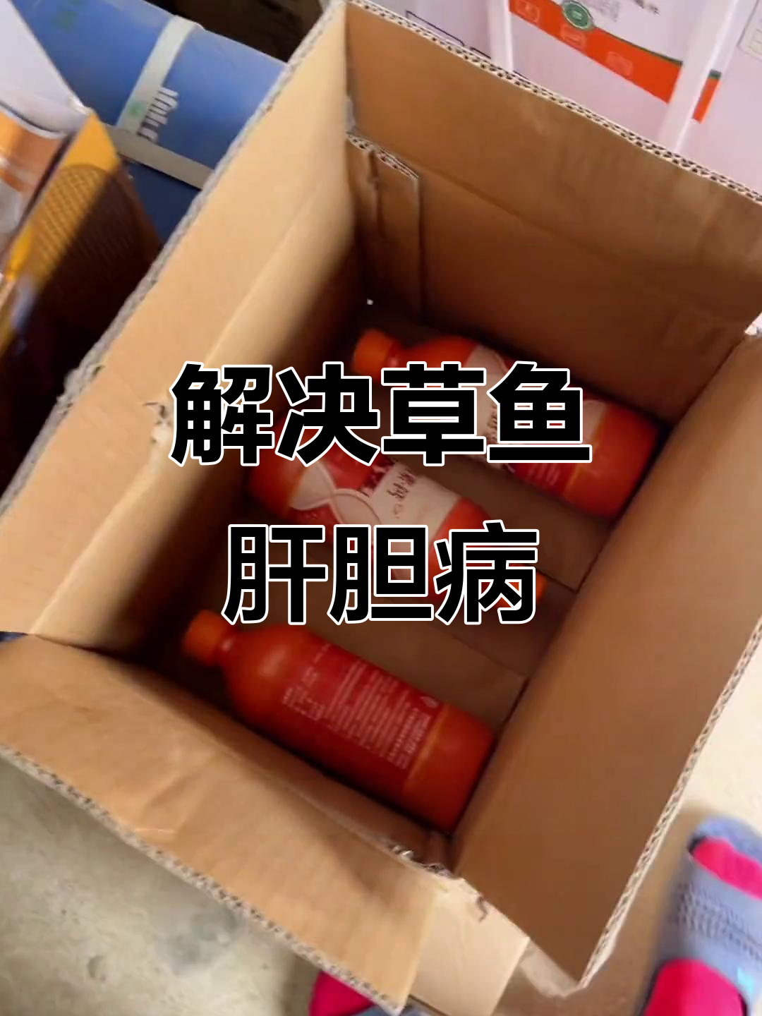 草鱼肝胆问题严重,养殖户急寻解决方法