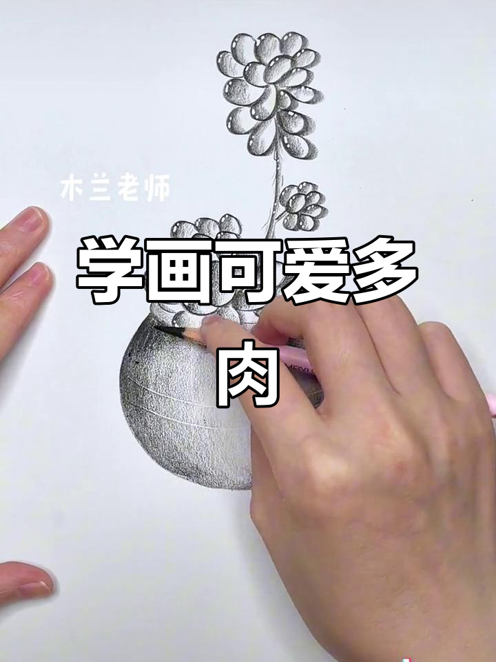 跟着节奏画画,轻松学会多肉植物风格