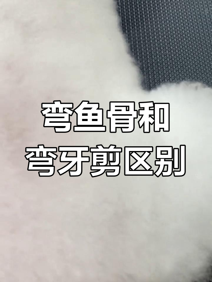 弯鱼骨与弯牙剪的区别与应用解析