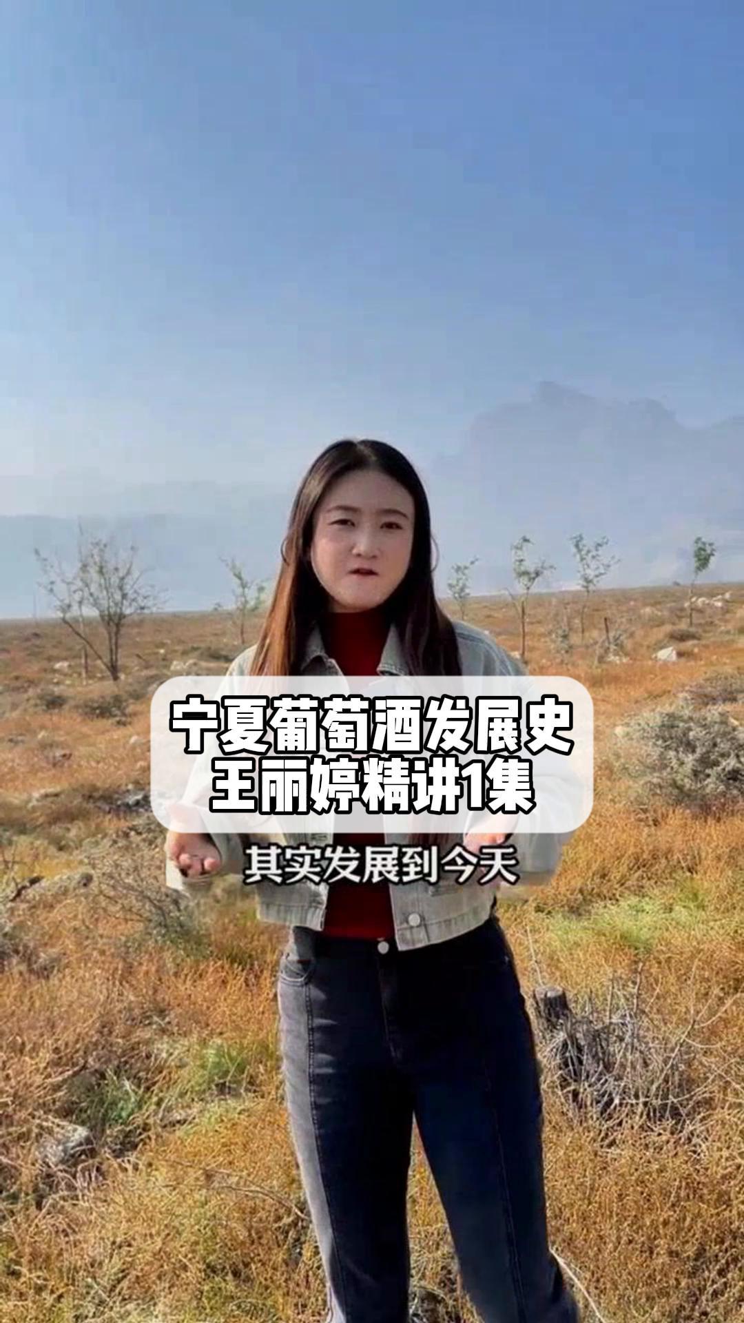 宁夏葡萄酒发展史,王丽婷精讲1集