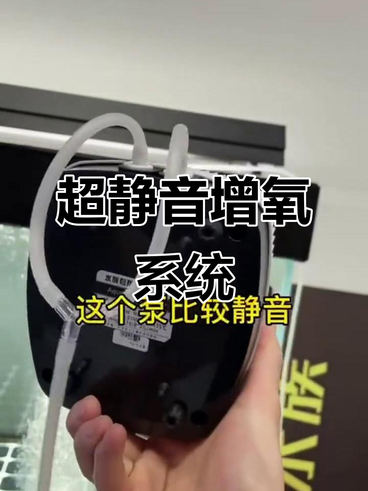 静音气泵+爆氧气盘,打造超强氧量鱼缸环境