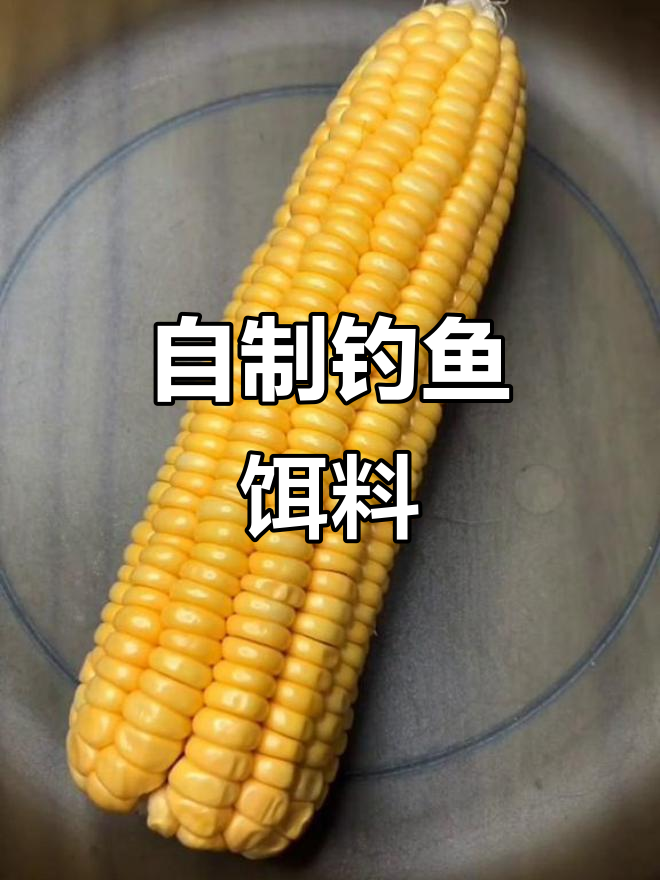 夏季钓鲤草青鱼必备!嫩玉米挂钩技巧大揭秘