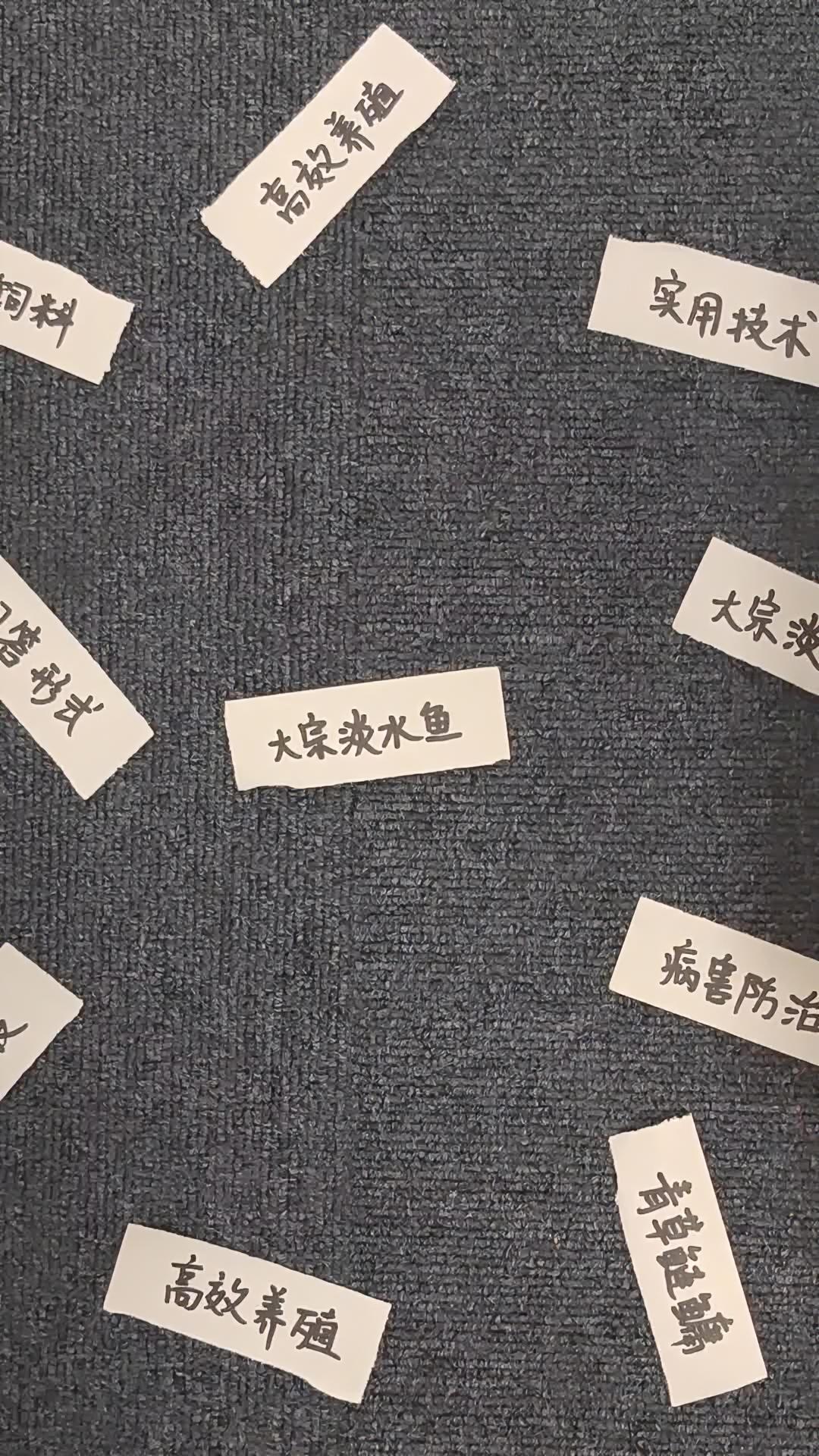 高效养殖问答来了!大宗淡水鱼 水产养殖 淡水鱼