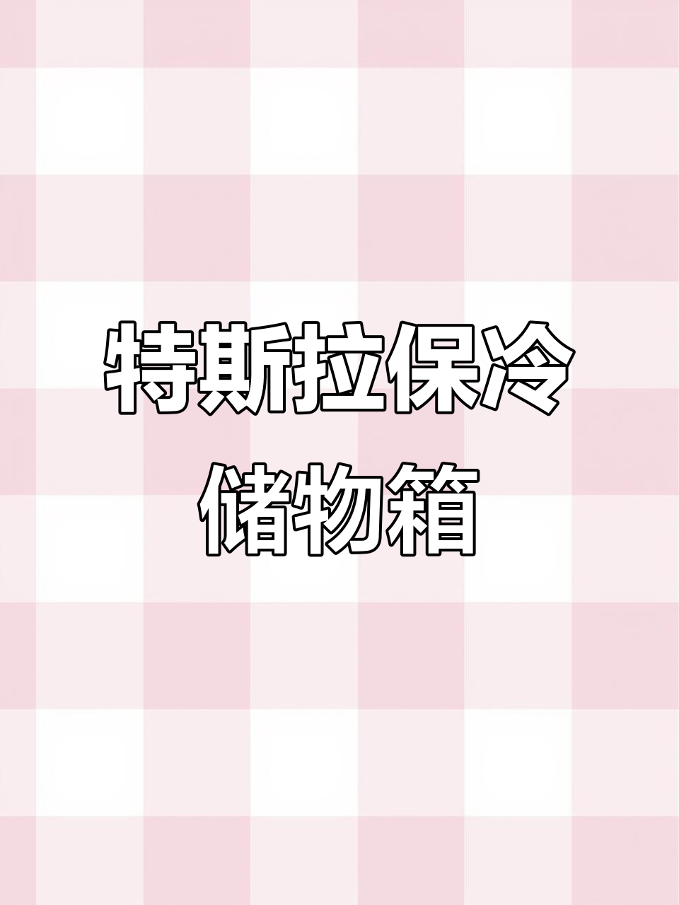 特斯拉前备箱变保温箱,露营钓鱼必备神器