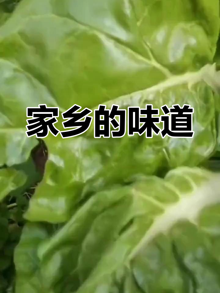 亲手种植雀菜,糯米包尽显乡村原味,家的味道温暖心间