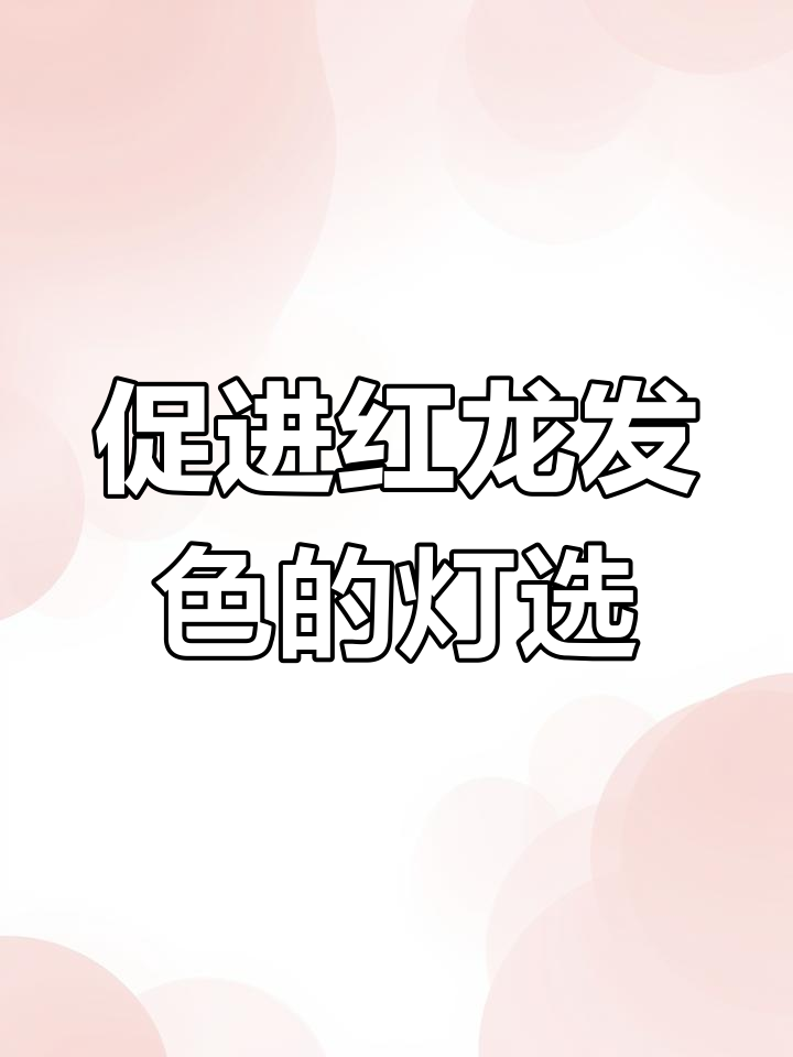 红龙鱼发色技巧:灯光选择与搭配