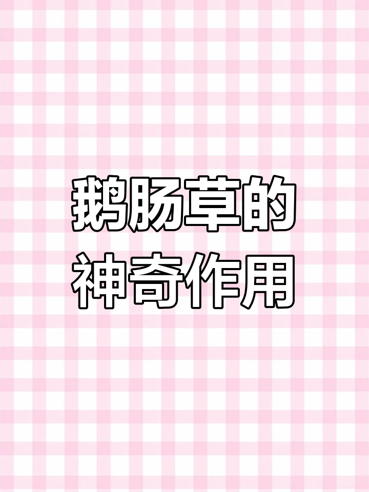 农村常见鹅肠草,竟有这么多妙用!