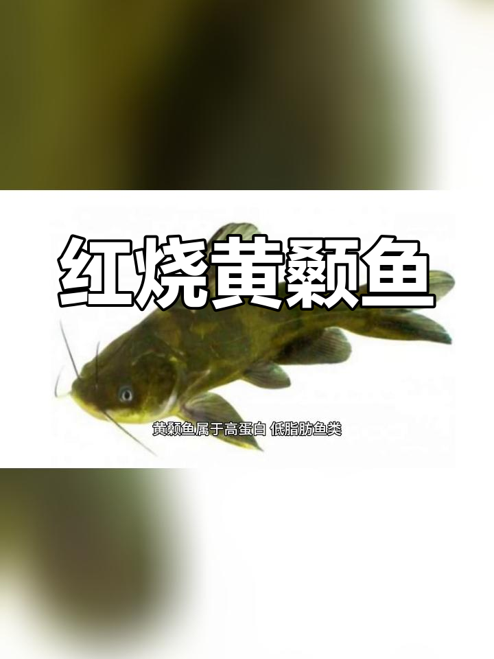 黄颡鱼的营养价值与食用效果