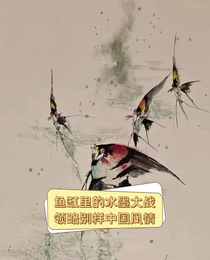 鱼缸里的水墨大战,领略别样中国风情