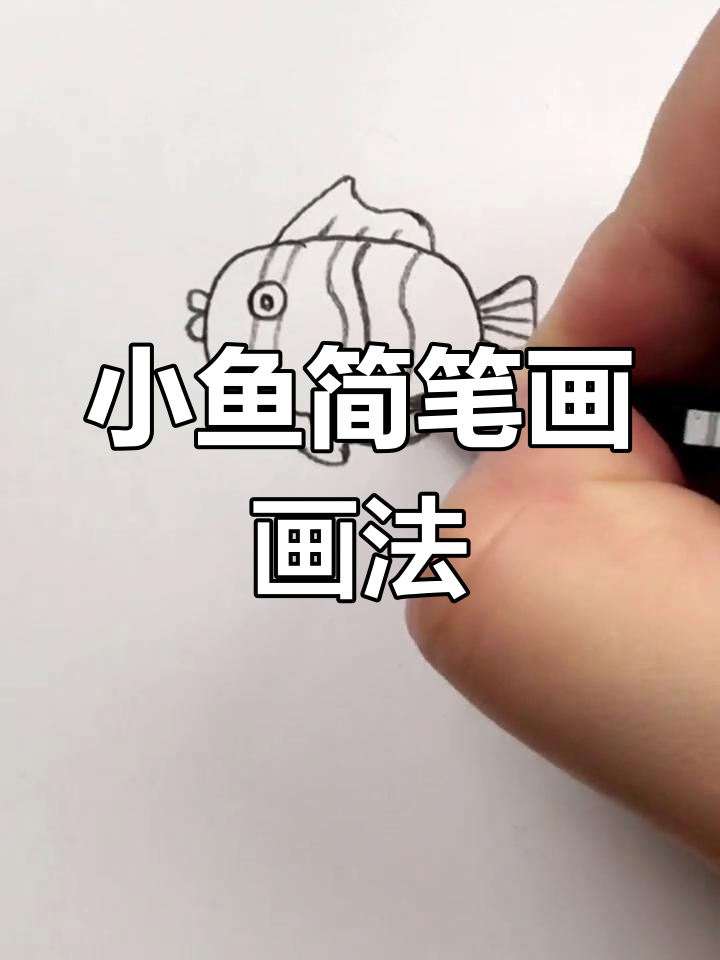 儿童简笔画:轻松学会画小鱼,步骤简单又有趣