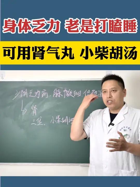 身体乏力 老是打瞌睡 可用肾气丸 小柴胡汤