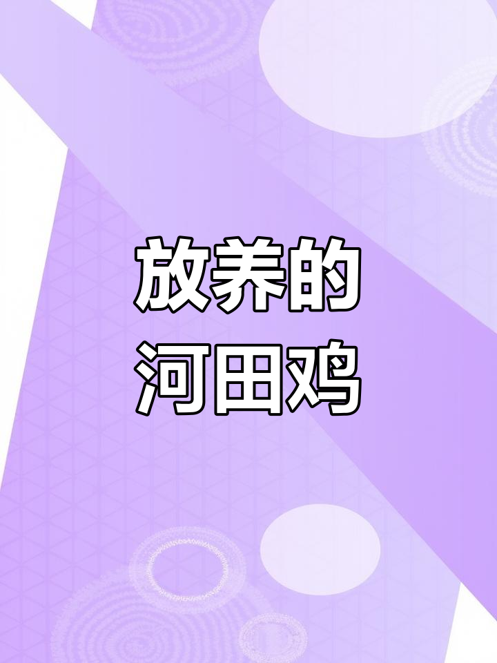 河田鸡:传统放养与现代科技的完美结合,蛋白质丰富更健康