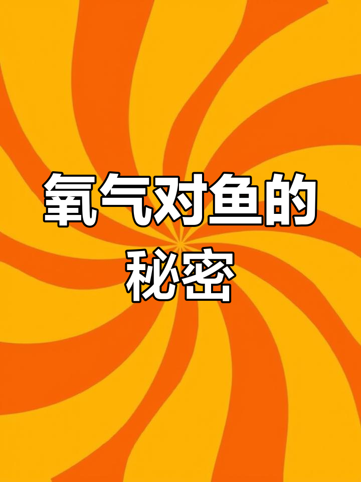 给鱼缸加氧,虽小却关键!