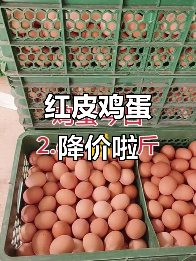 鸡蛋价格又降了,红皮精蛋只需2块6毛9一斤