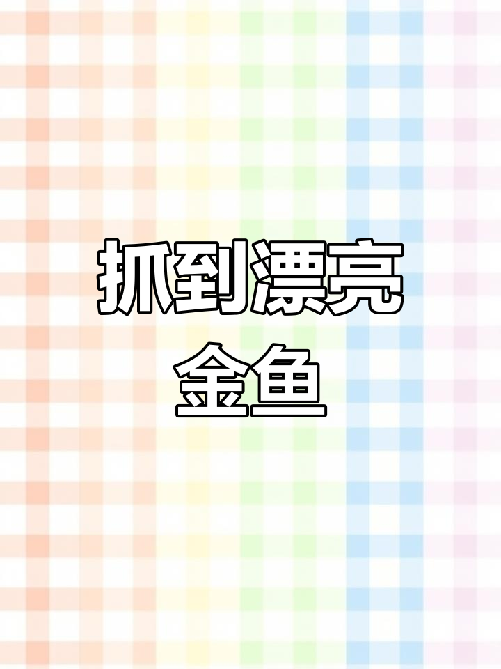 小水沟发现神秘金鱼,黄金头和红冠鱼惊艳登场