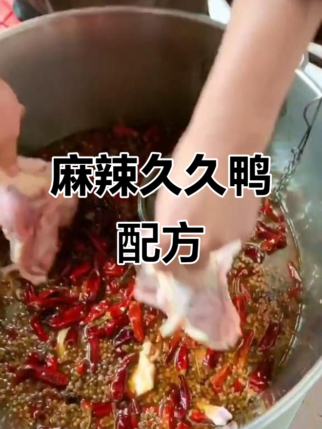 2020年首次见面,麻辣久久鸭的秘密配方大揭秘