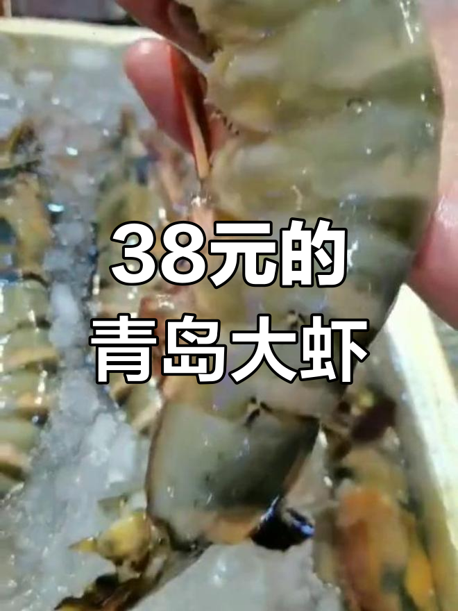 青岛大虾38元一只,贵吗?