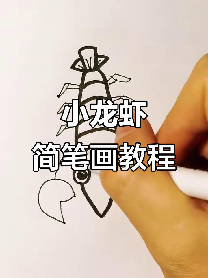 轻松学画小龙虾,简单步骤搞定!