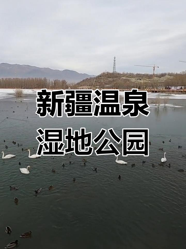 博尔塔拉河湿地公园:温泉与自然的完美融合