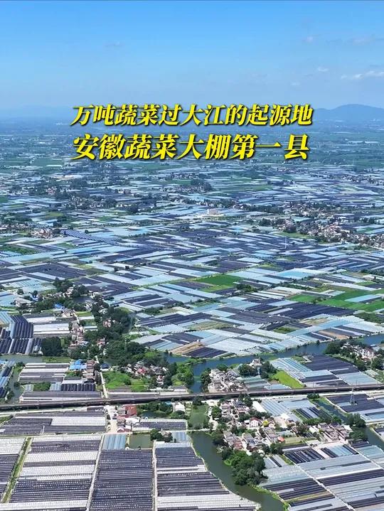 这里是“五个能人带全乡、万吨蔬菜过大江”的起源地，更是安徽大棚蔬菜种植第一县，你知道是哪里