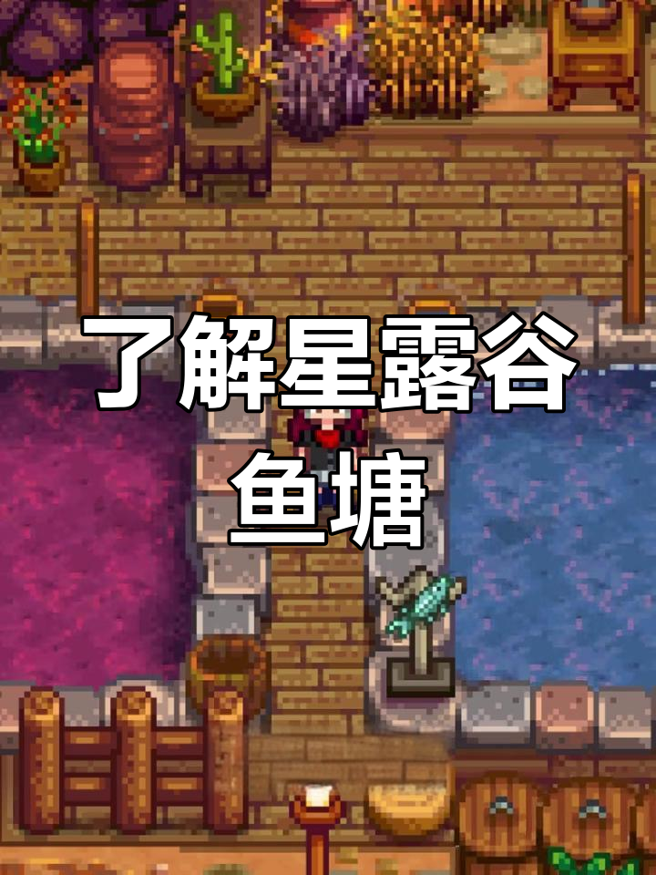星露谷鱼塘全解析:从养鱼到产出神秘物品