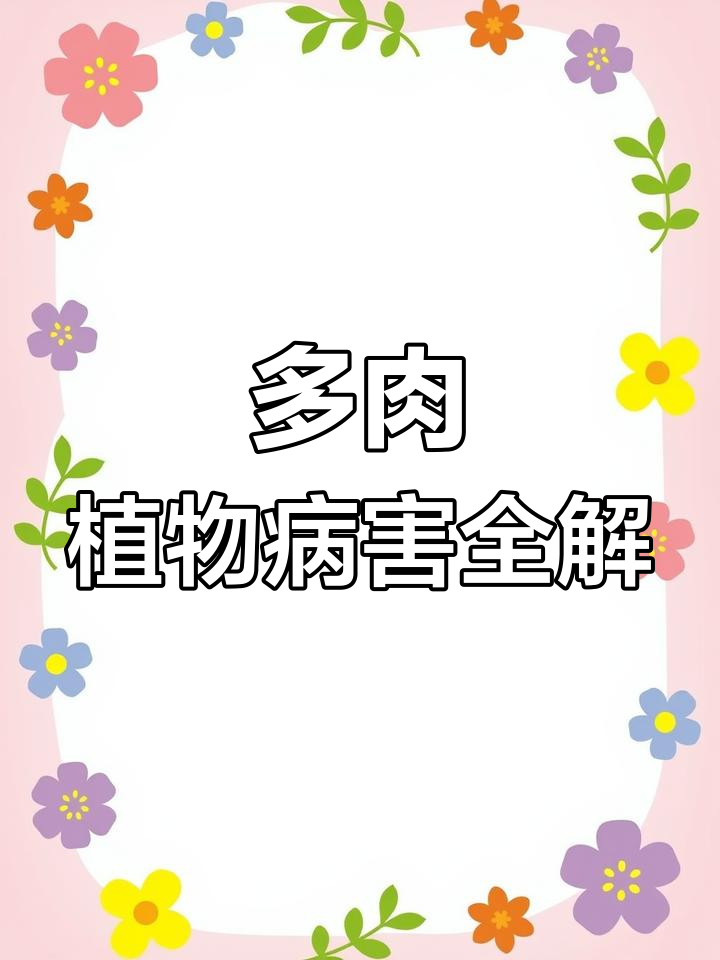 多肉植物常见病害大揭秘,如何防治气生根、黄叶和黑斑病