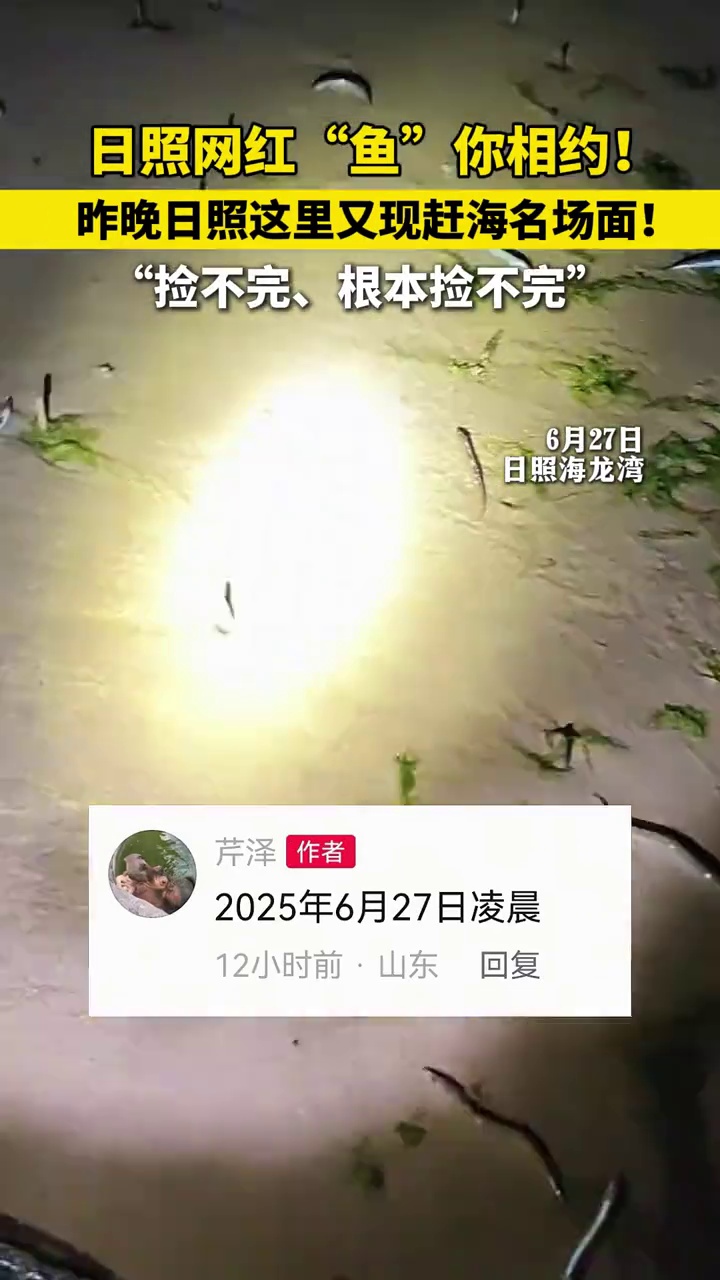 日照网红“鱼”你相约!昨晚日照这里又现赶海名场面!来源@芹泽