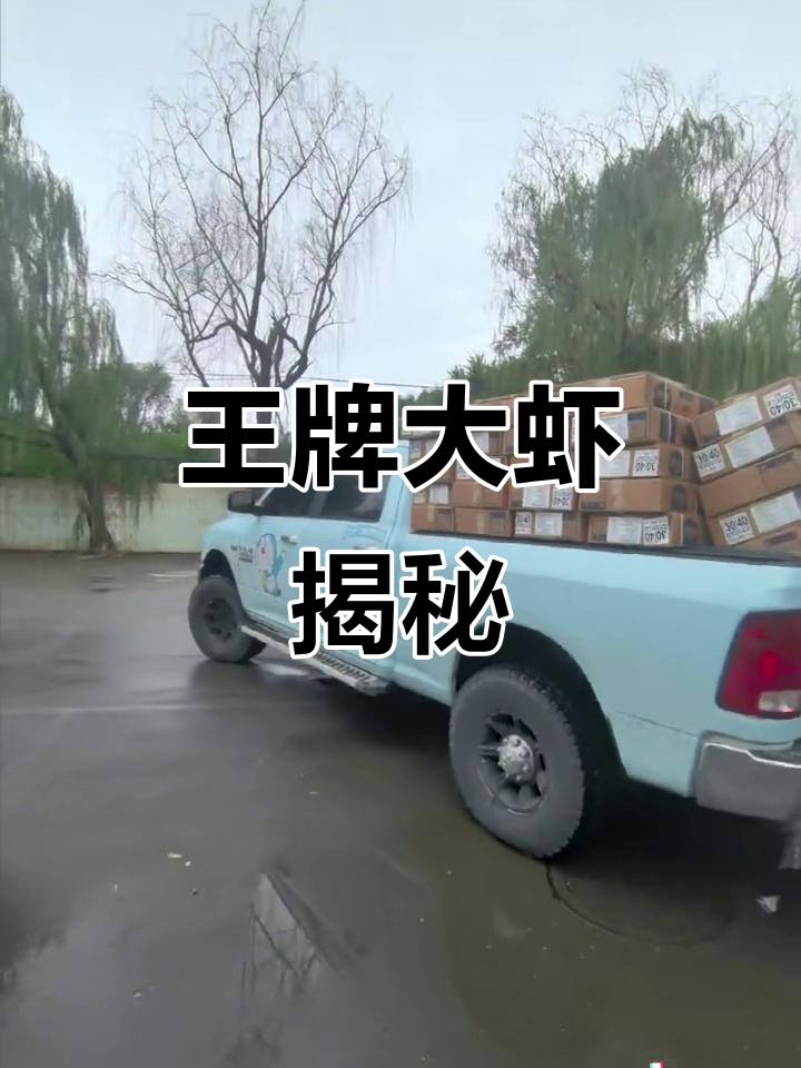 厄瓜多尔白虾:王牌大虾的秘密