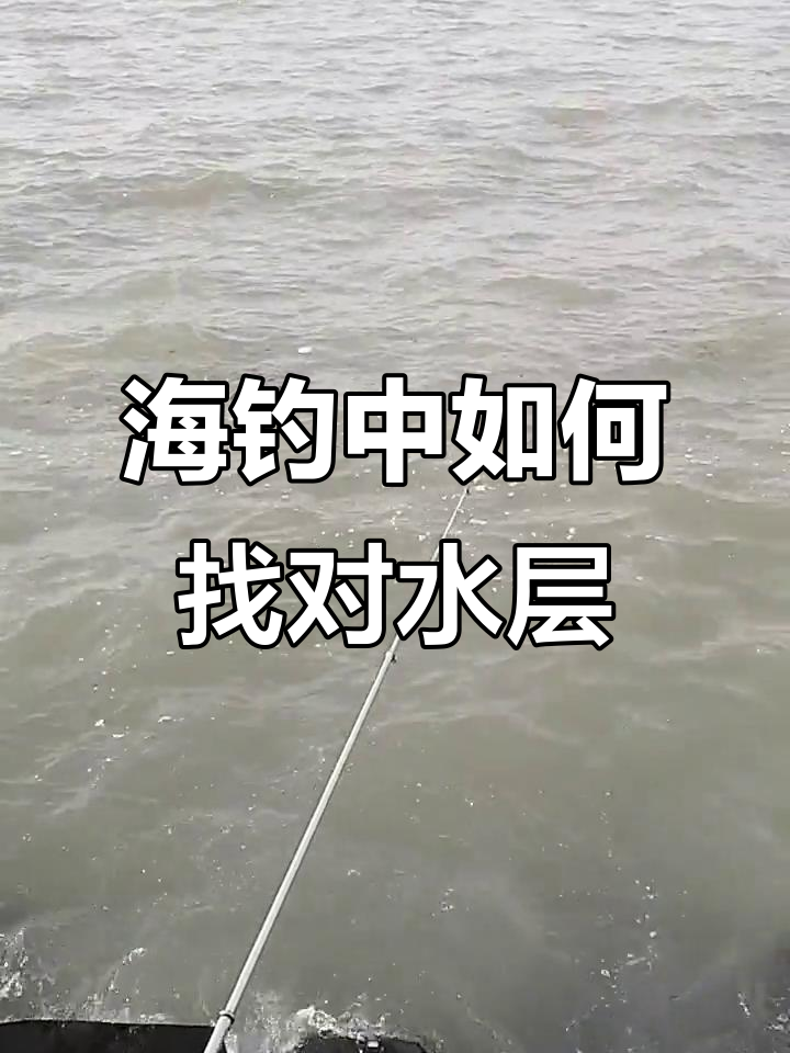 钓海鱼技巧:从摸索水层到上钩,风大浪急中的钓鱼挑战