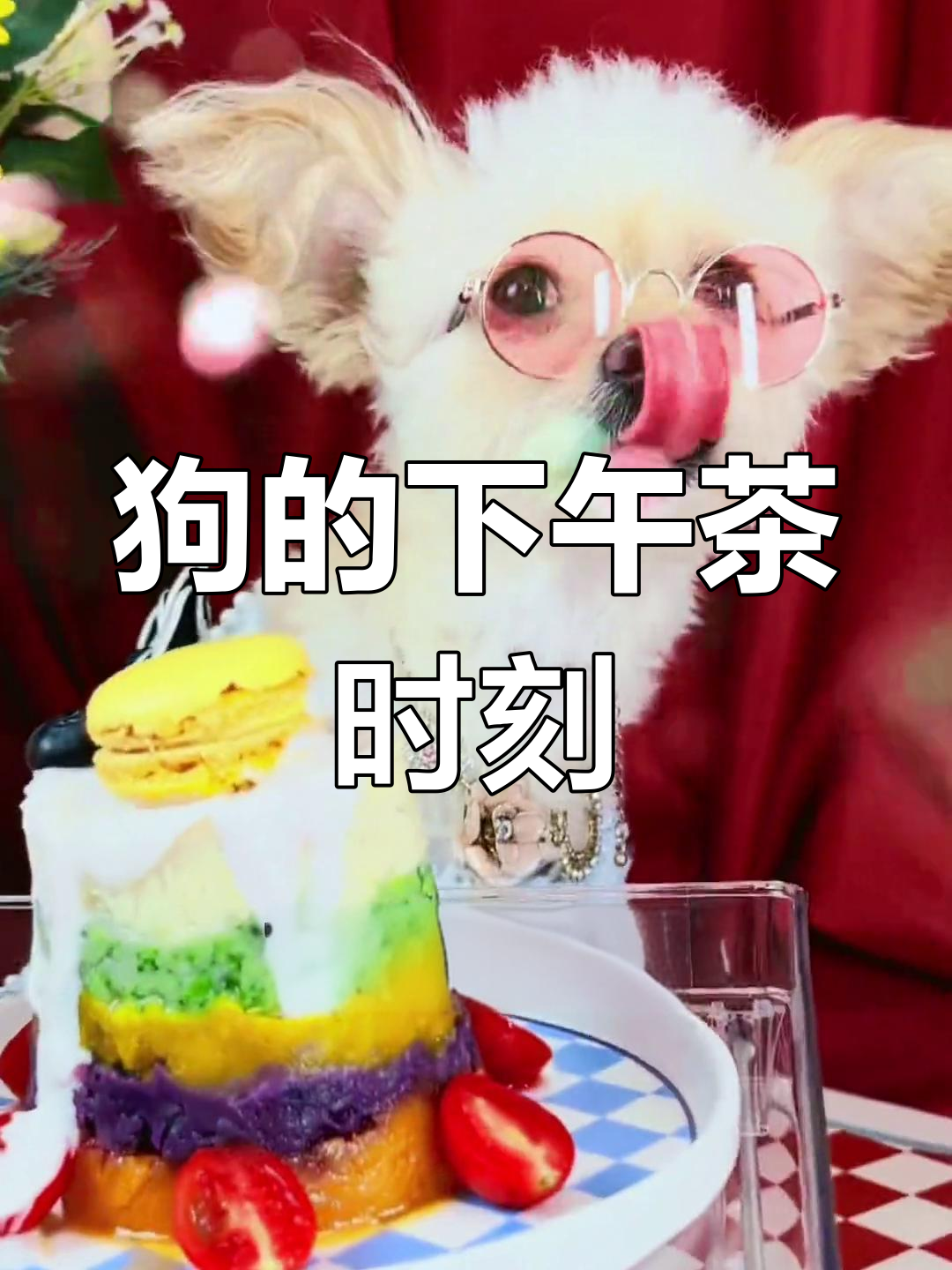 挑战狗生巅峰,下午茶名媛登场