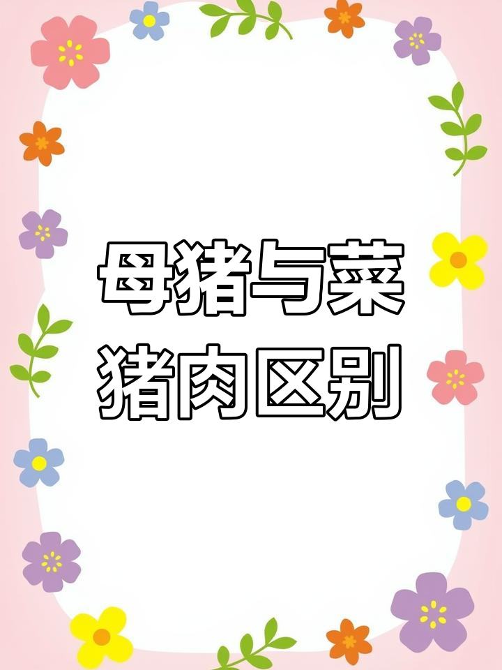 母猪肉和菜猪肉的区别,口感差异大揭秘