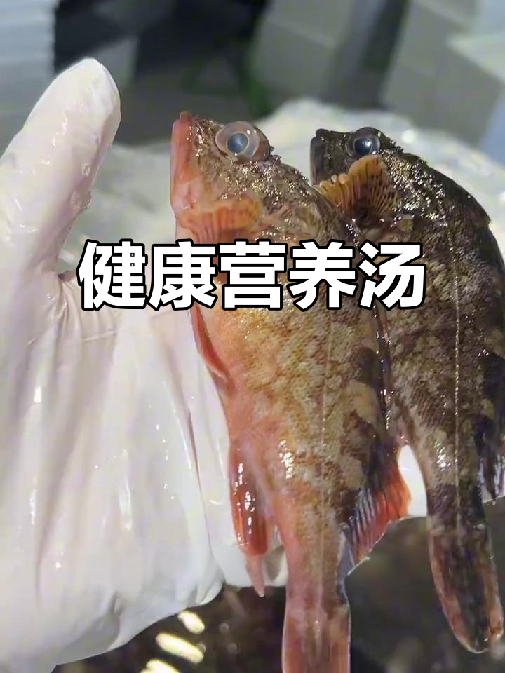 虎头鱼豆腐汤,补钙又美味,心血管健康加分!