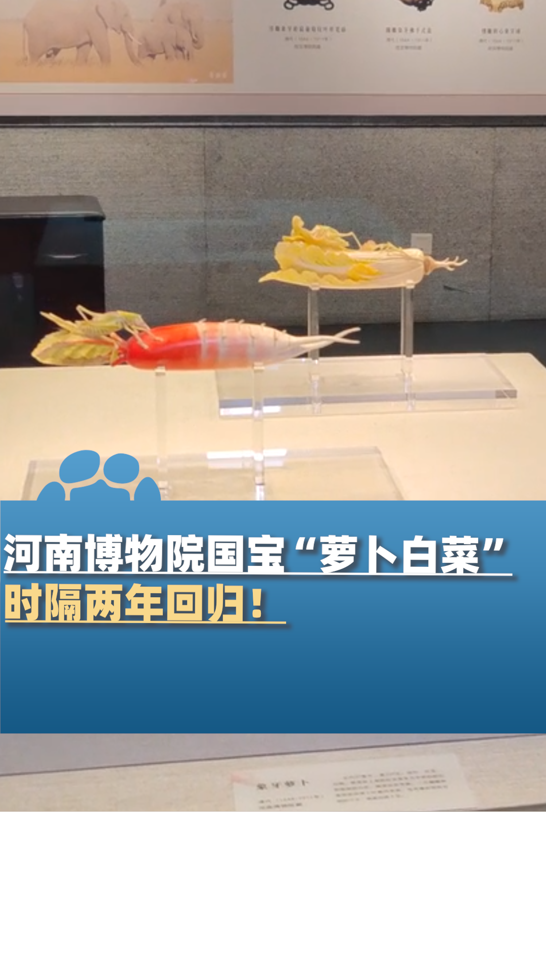河南博物院“萝卜白菜”时隔两年回归!
