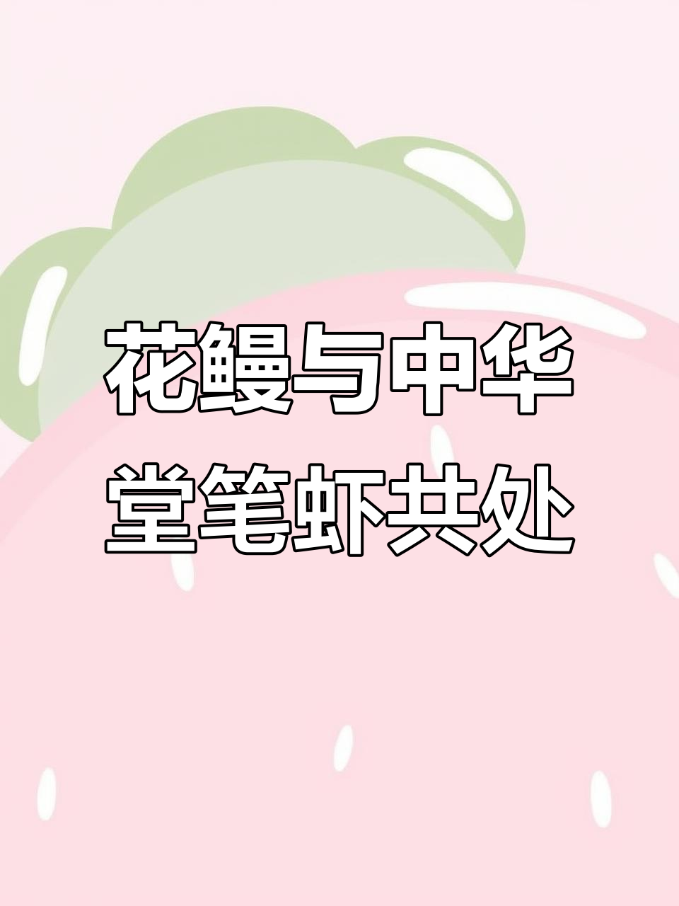 两种鳗鱼放在一起,会不会打架?